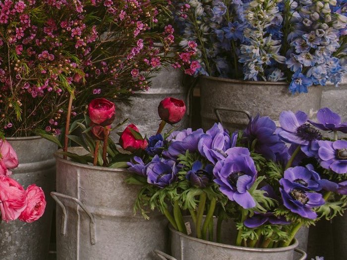 Purple anemones, red ranunculus and larkspur in zinc buckets