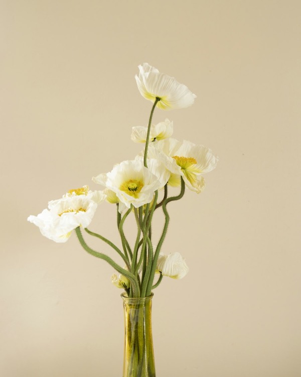White poppies in a narrow green glass vase