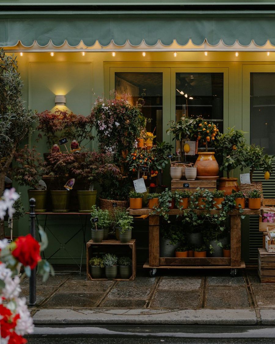 Fachada de la floristería con toldo verde, luces encendidas y plantas en estantes de madera sobre la acera