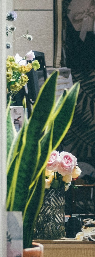 Rosas en un jarrón de cristal tallado junto a una sansevieria