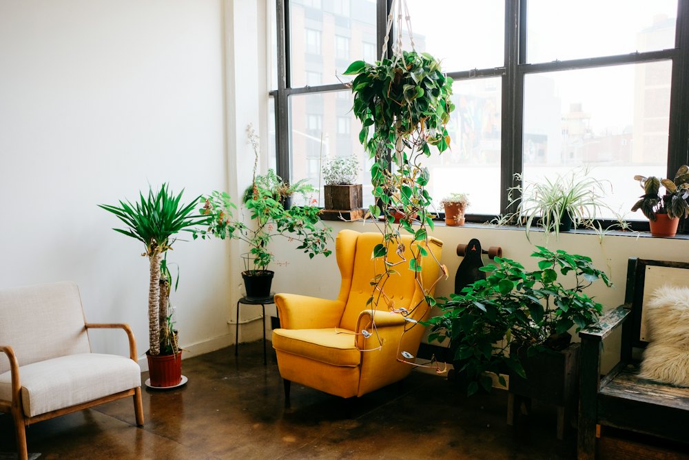 Rincón luminoso con un sillón amarillo, plantas y una ventana grande